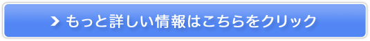 }T`[ZbcMBA SIC̔TCg